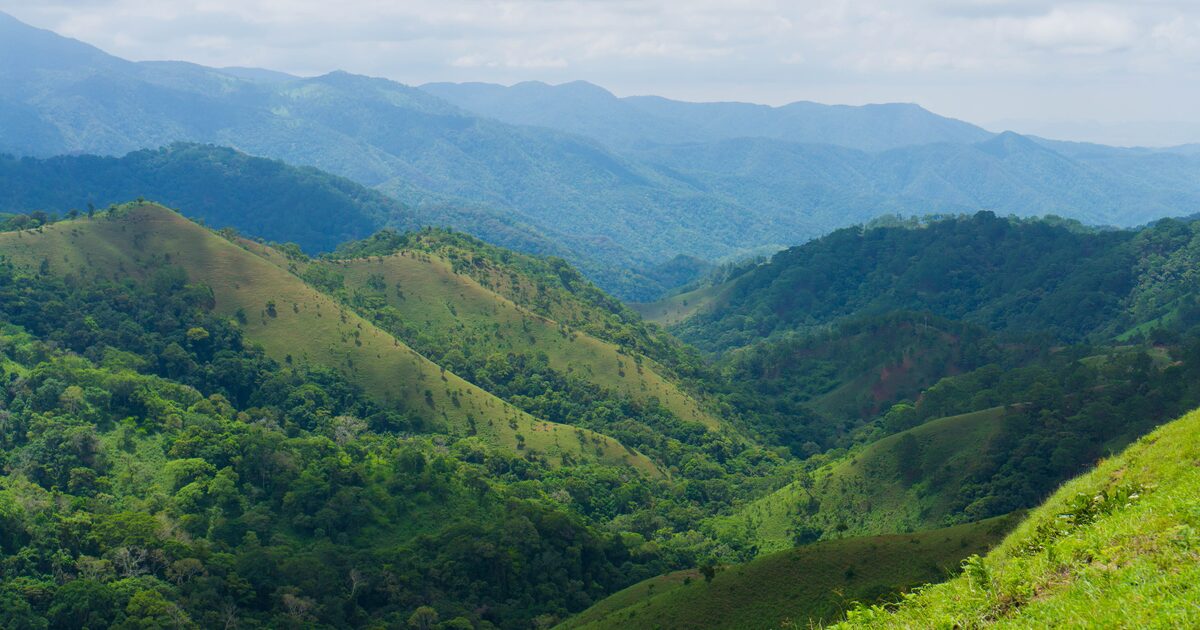 Green rolling hills leading up to forested mountains
