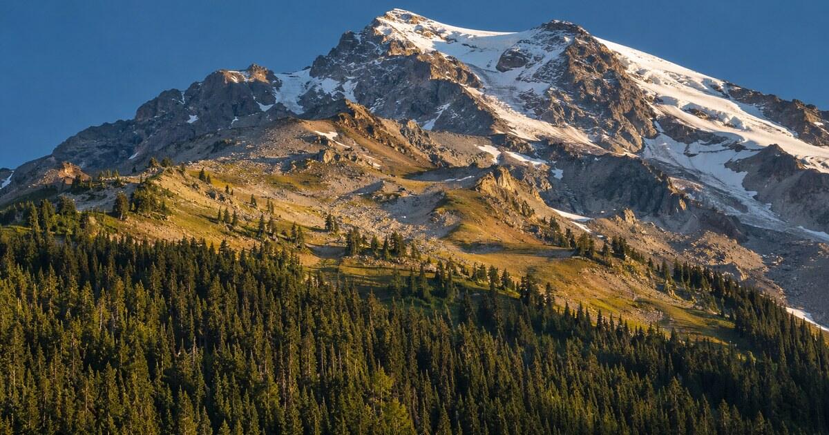 Conifer forest thinning to scattered trees and bare alpine meadow below a rocky summit